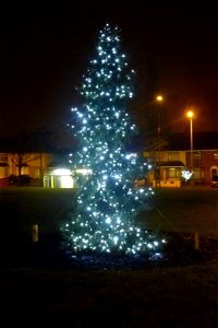 Project 365 #354: 201211 O Christmas Tree
