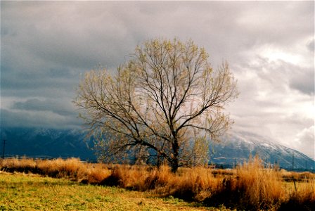 Kilanski005023-R1-013-5