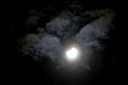 IMG_9228