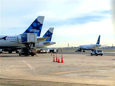 JetBlue tails at BOS