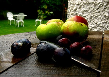Garden Fruit photo