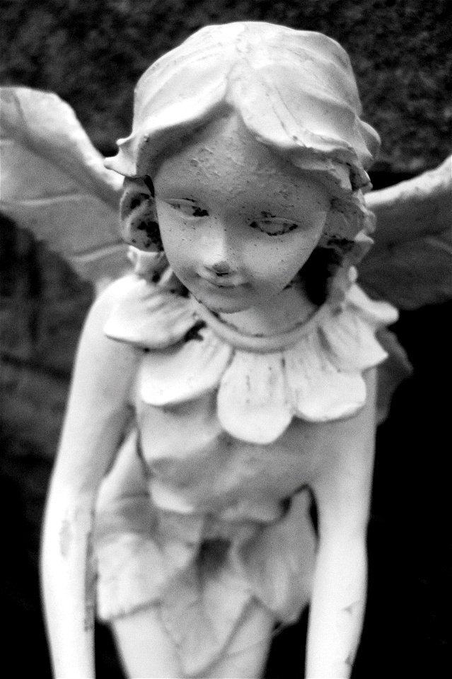 Project 365 #70: 110310 One For The Fallen