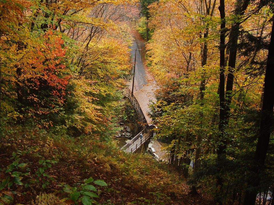Hiking and Nature Trails in the White Mountains of New Hampshire