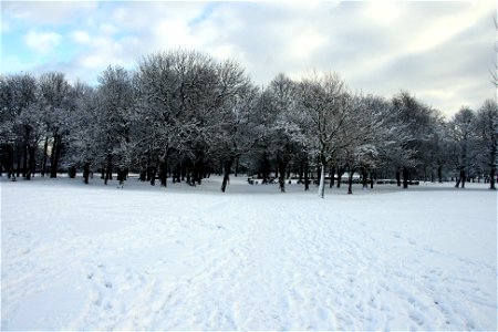 Snowy Newsham Park 6 photo