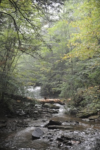 Ricketts Glen State Park