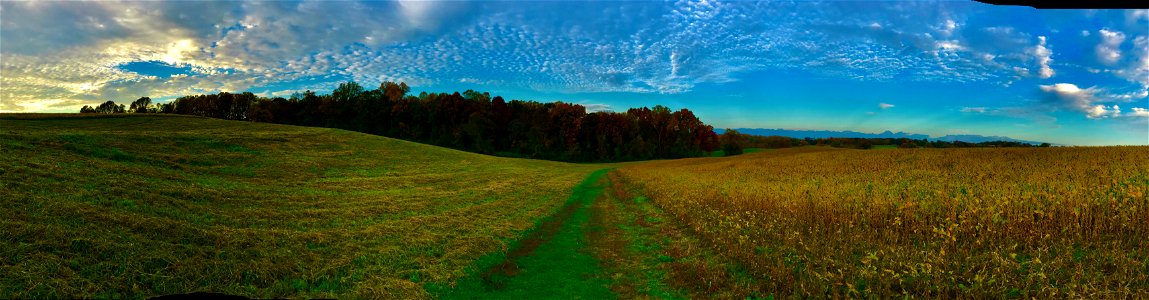 Panoramic view of a hayfield photo