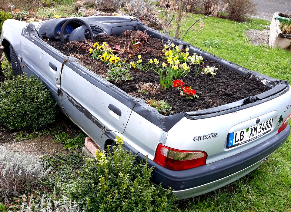 Citroen Saxo flower pot