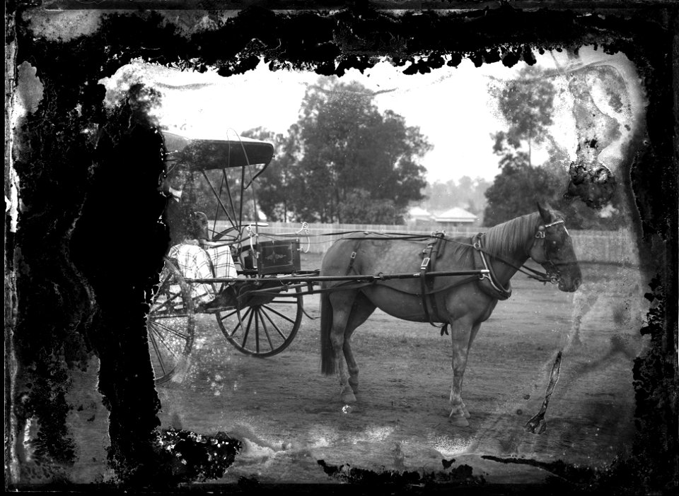 Horse and buggy, [n.d.]