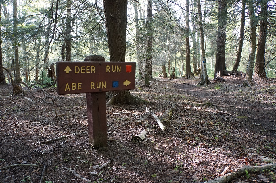 Sign Deer Run Trail Canaan Valley, West Virginia