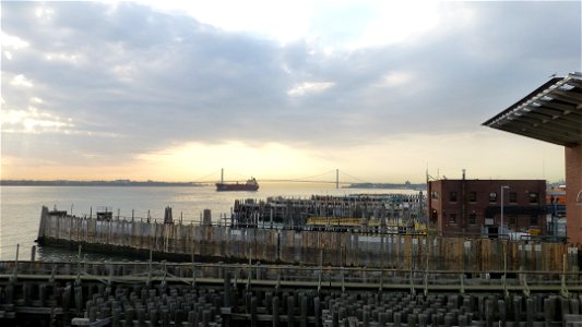 Ferry NYC photo