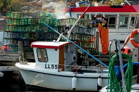 Fisherman cleaning lobster traps in Norra Grundsund 1