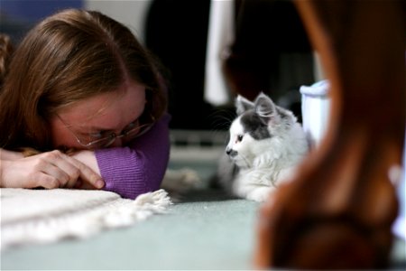 Lucy as a Kitten 4