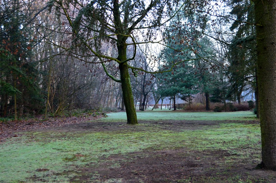 DSC_0525