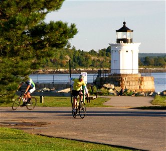 Bug Light