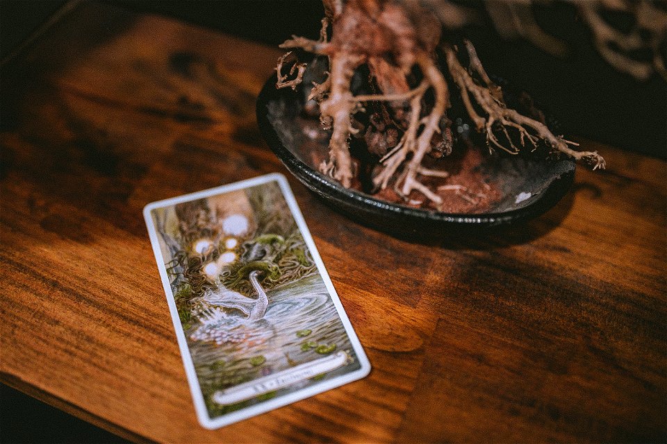 tarot (31 of 137)