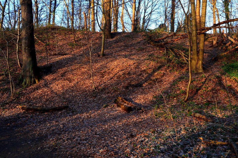 DSC_0540
