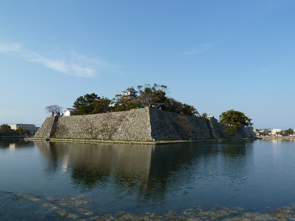A Japanese Castle in Shikoku