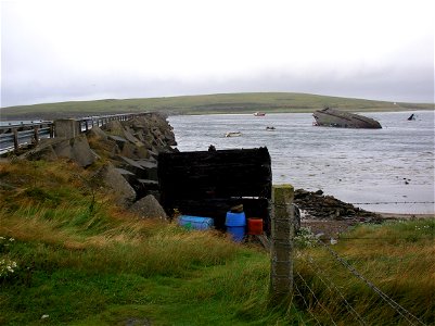 IMGP1345