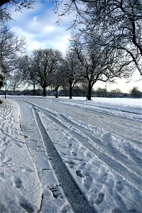Snowy Newsham Park 3