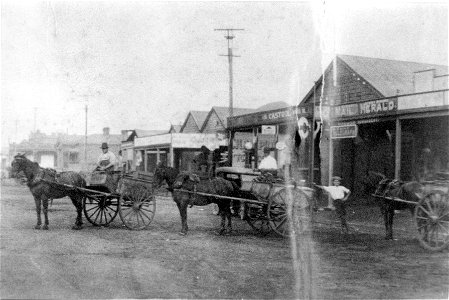 Three gentlemen with horses and carts outside a [newsagency], [n.d.] photo