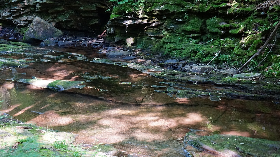 Dolly Sods Wilderness, West Virginia
