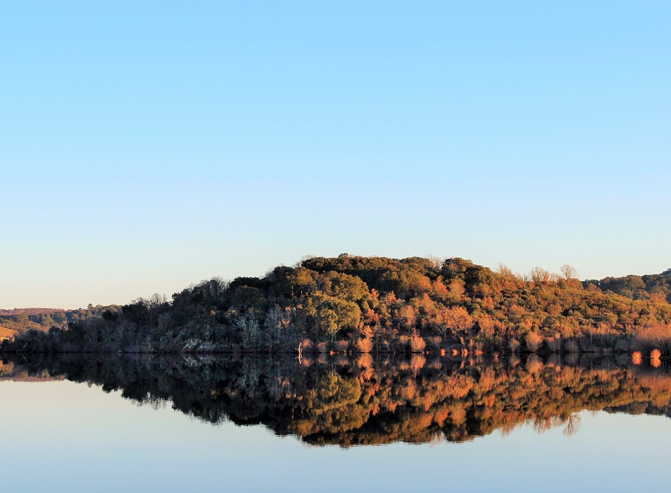 Beautiful forest reflecting on calm lake shore