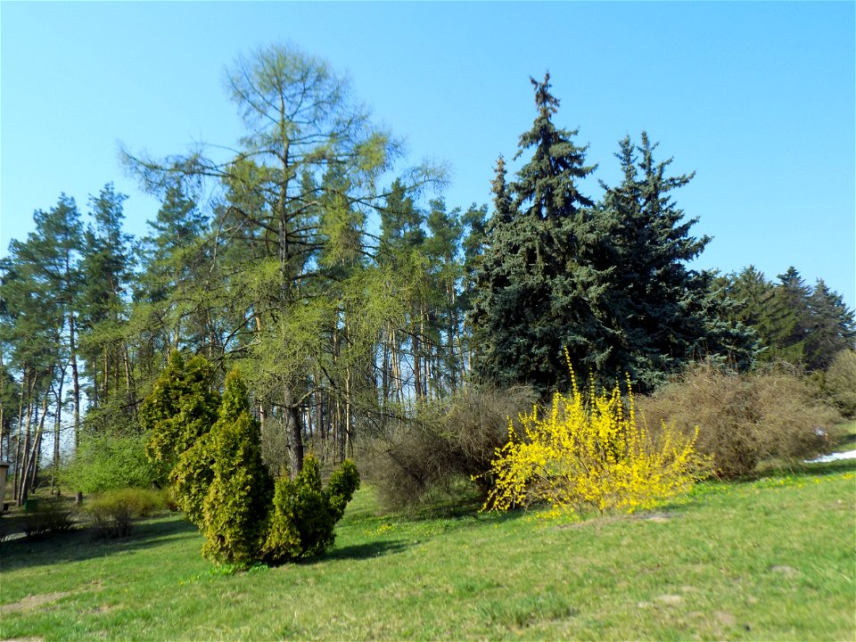 Hryshko National Botanical Garden