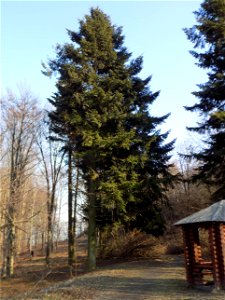 Hryshko National Botanical Garden