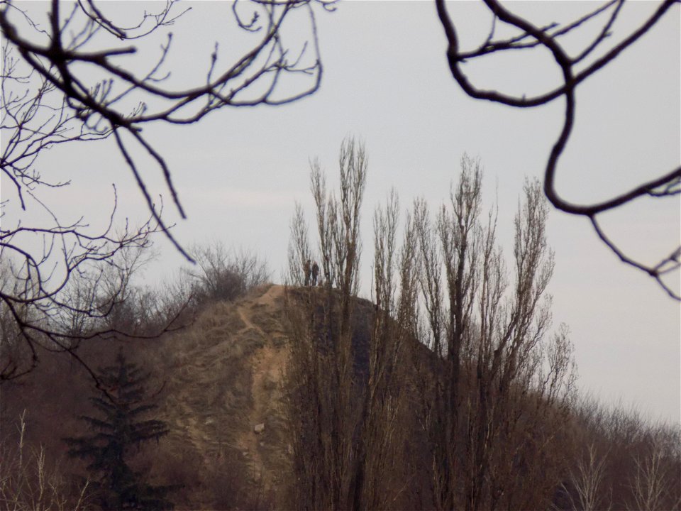 Hryshko National Botanical Garden