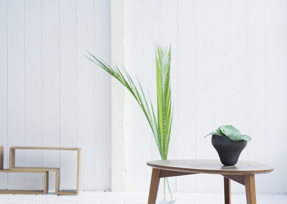 Detail of a bright modern living room with plant