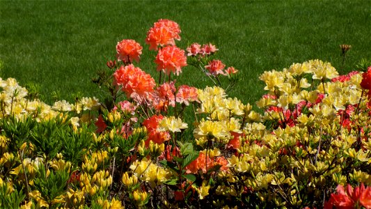 Hryshko National Botanical Garden