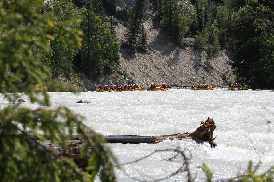 Whitewater Rafting