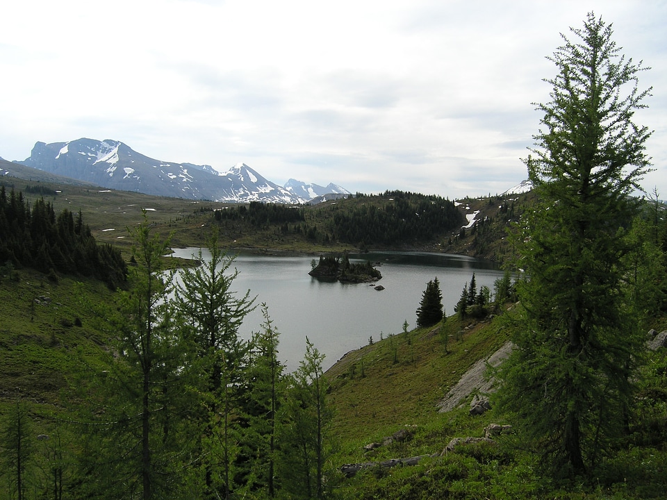 Hiking Banff National Park - Sunshine Meadows
