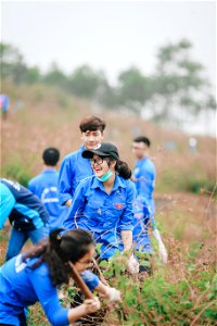 traiphong (64 of 164)