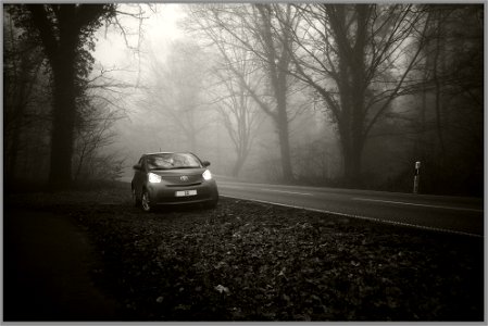 Toyota IQ im Nebel mit Licht photo