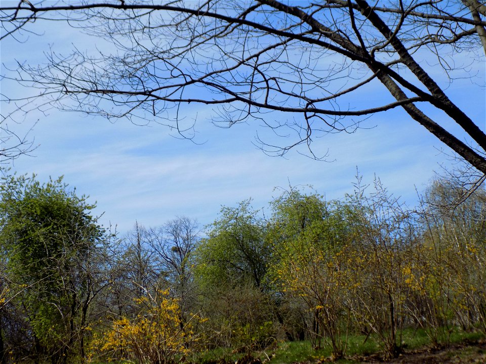 Hryshko National Botanical Garden