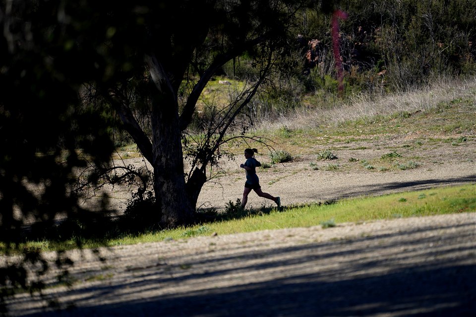 Run for Paramount 2022