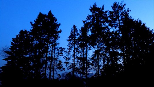 Hryshko National Botanical Garden