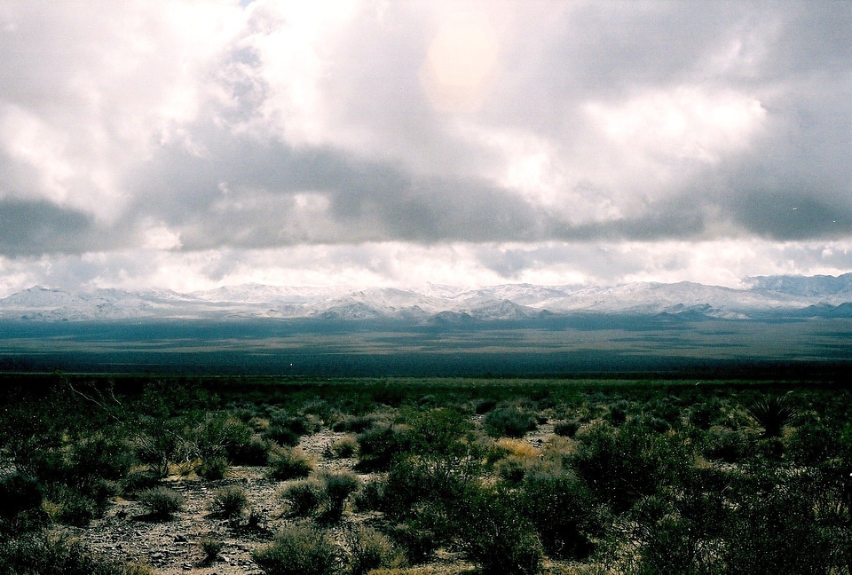 Mojave National Preserve