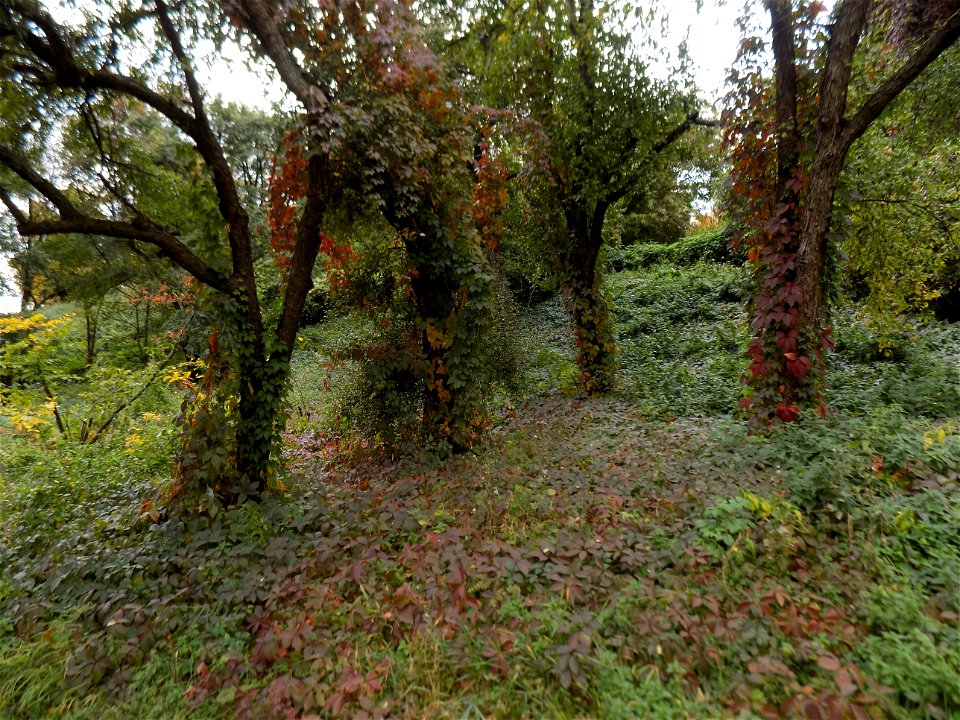 Hryshko National Botanical Garden
