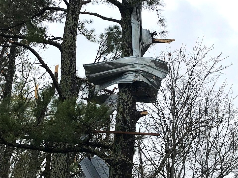 BlountsvilleTornado Sheet Metal From Barn In Trees