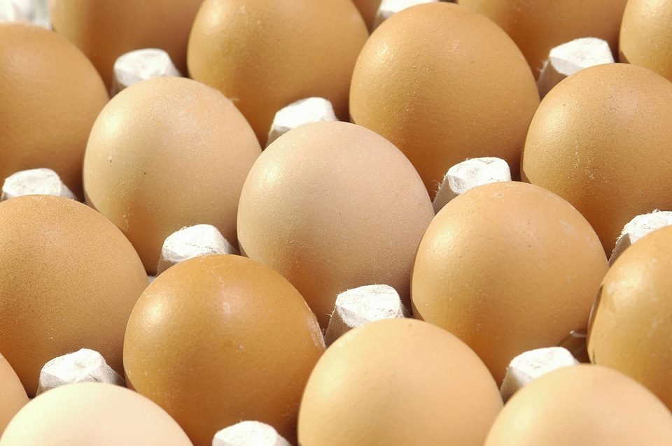 egg on carton package