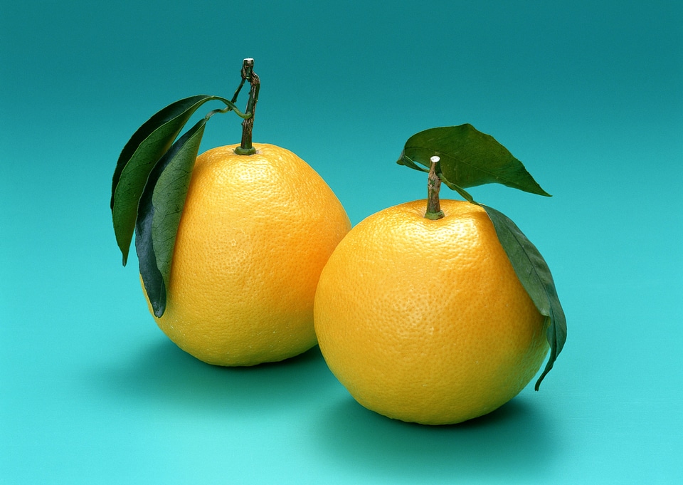 ripe orange with leaves