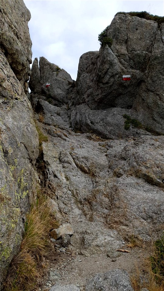 GR 20 Nord Sud Etape 13 Usciolu - Bergerie Croci