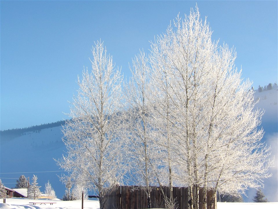 winter morning in stanley