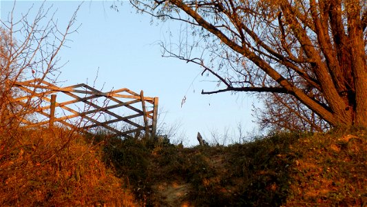 Hryshko National Botanical Garden