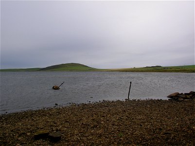 IMGP1318