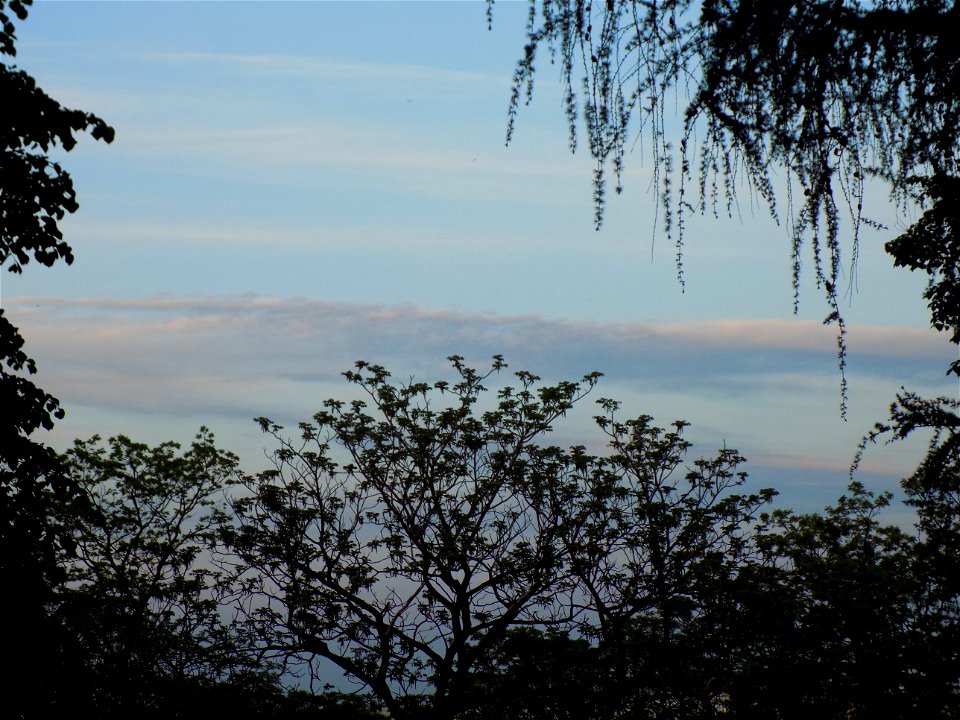 Hryshko National Botanical Garden