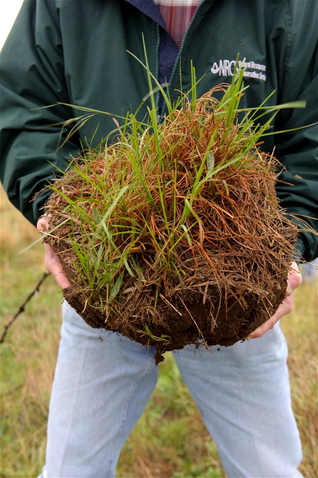 Lem Creswell holds a piece of soil with good ground cover and organic matter, which is an important part of soil and rangeland health. photo