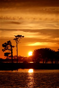Silhouettes in a Gulf Coast Sunset
